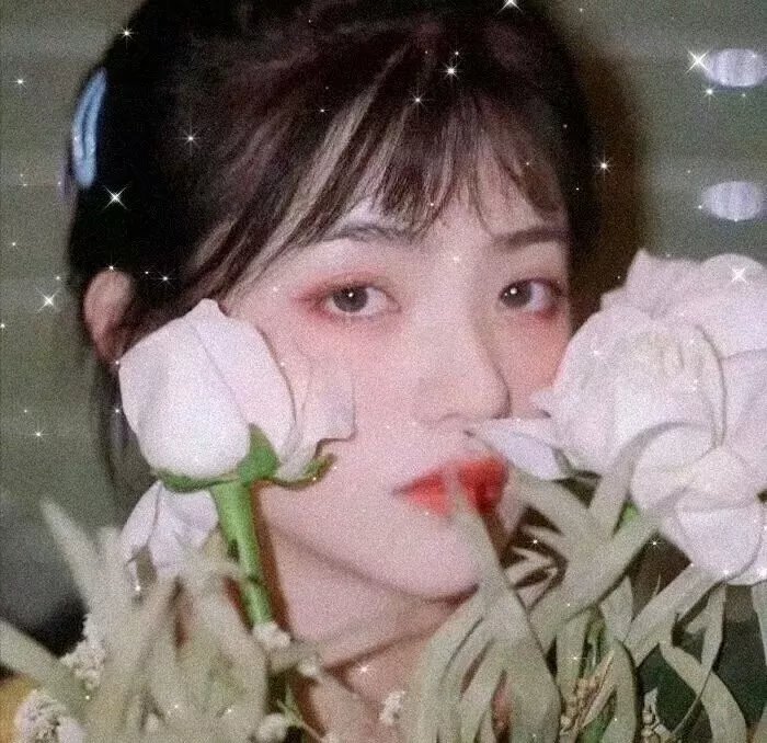 女猎鹰人