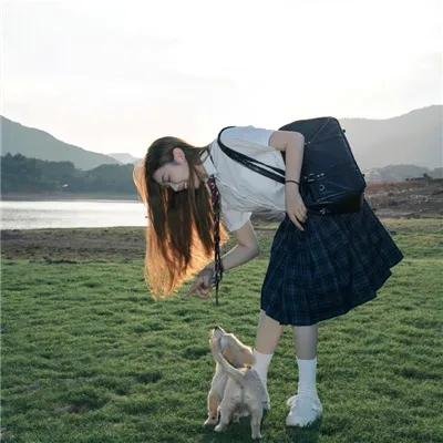 赘婿动画版
